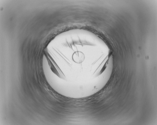 X0000069831492200606161927