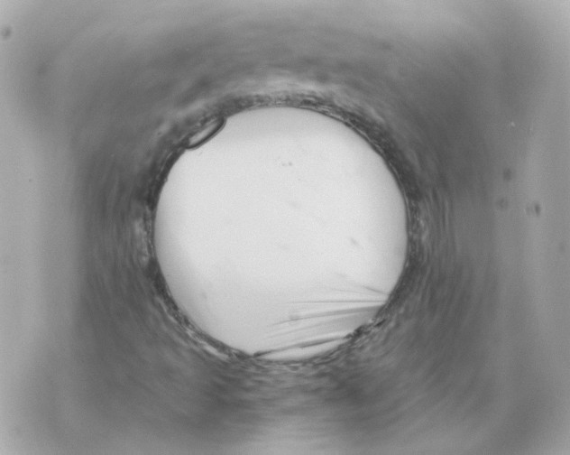 X0000069831493200606161927