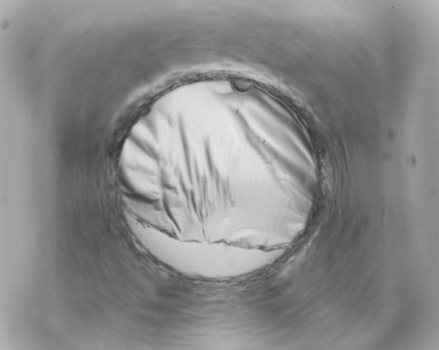 X0000069831494200606161927