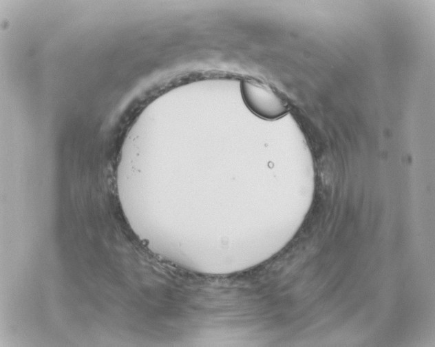 X0000069831495200606161927