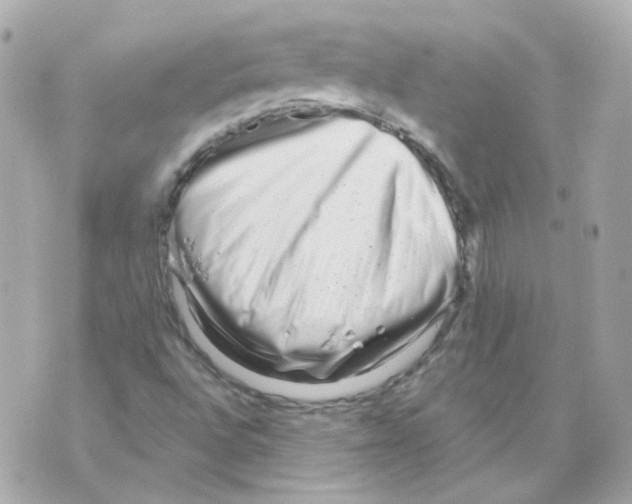 X0000069831496200606161927