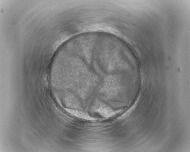 X0000069831497200606161927