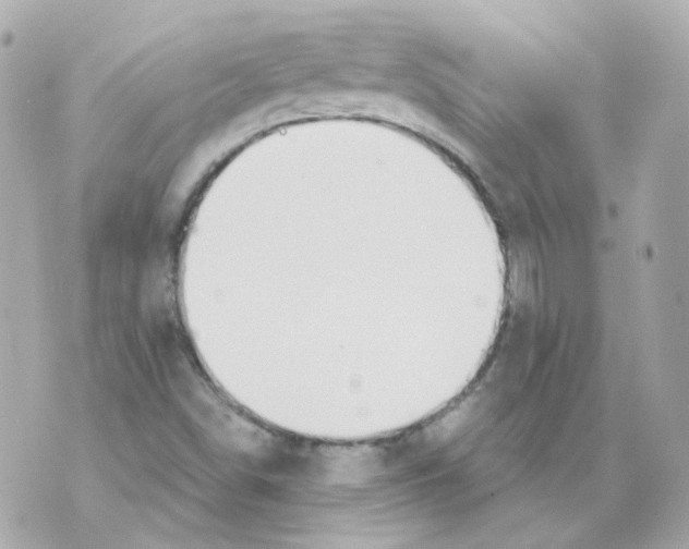 X0000069831498200606161927