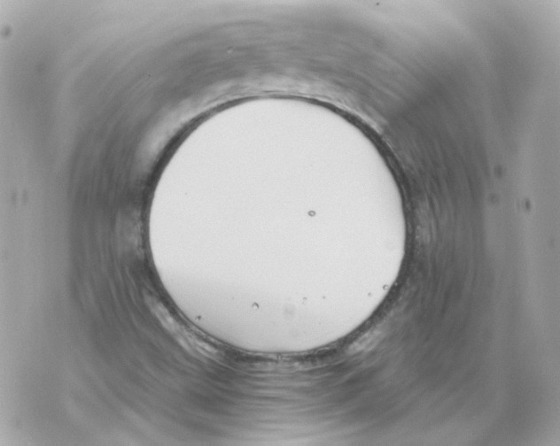 X0000069831499200606161927