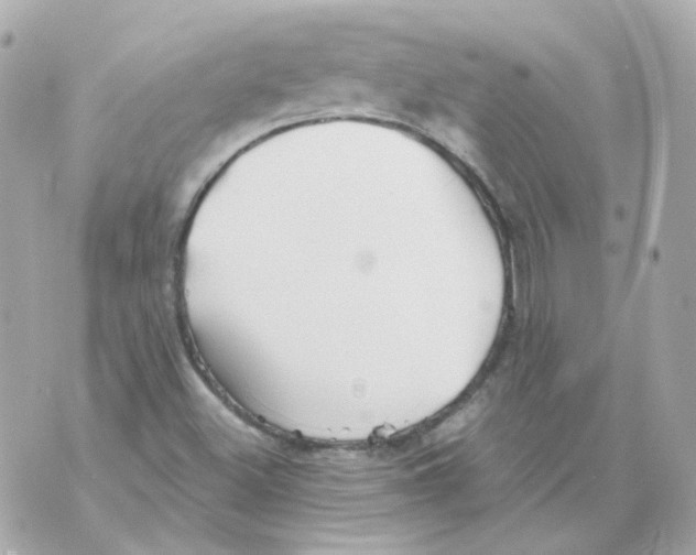 X0000069831500200606161927