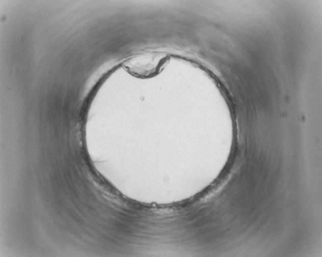 X0000069831501200606161927