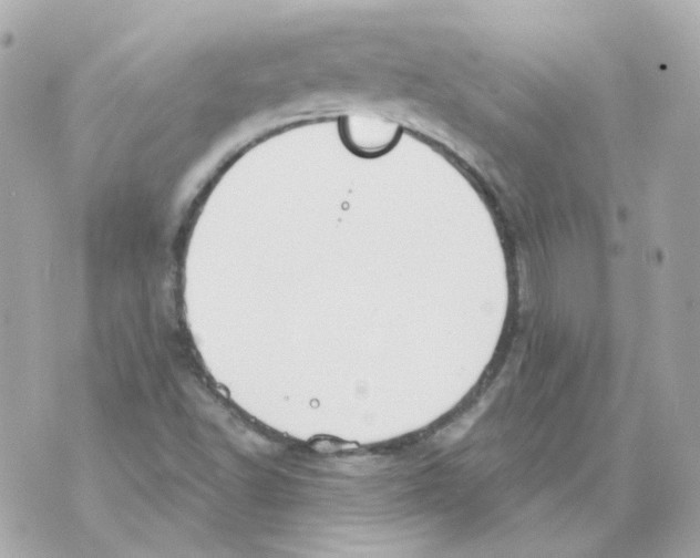 X0000069831502200606161927