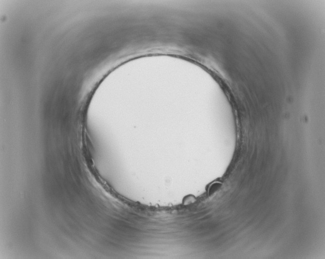 X0000069831504200606161927