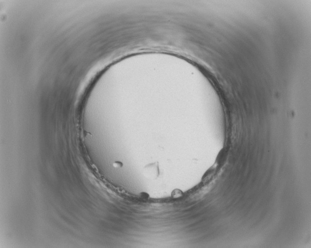 X0000069831506200606161927