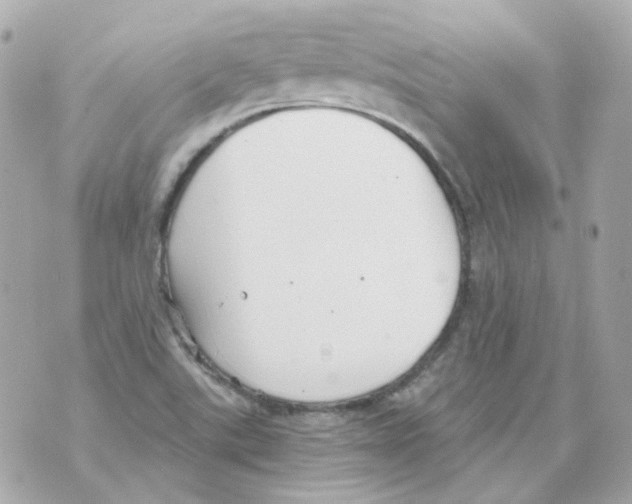 X0000069831507200606161927