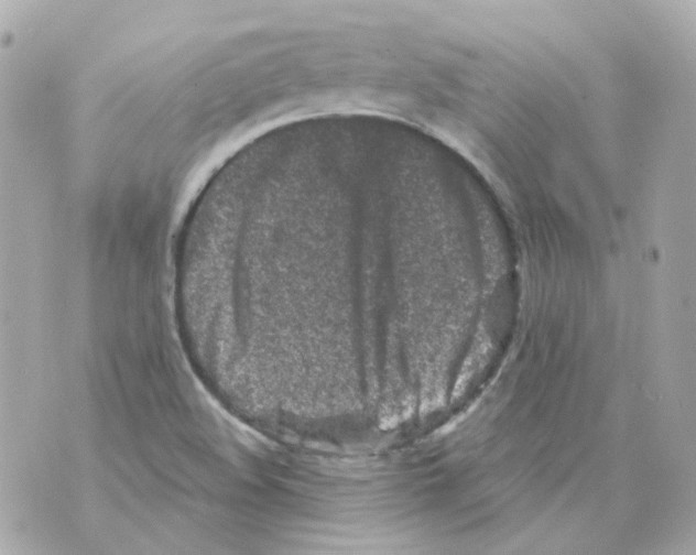 X0000069831508200606161927