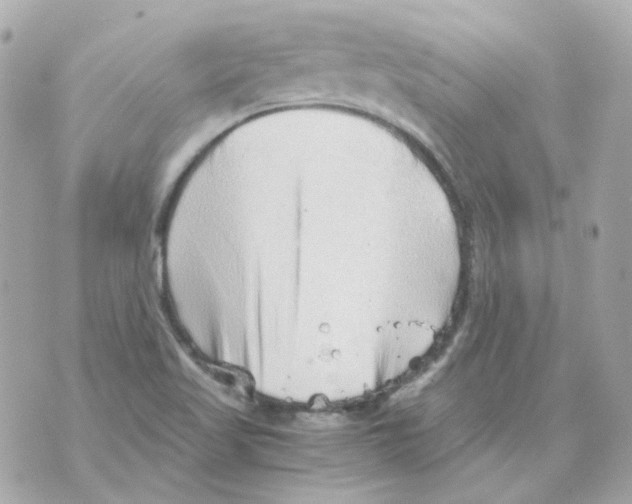 X0000069831509200606161927