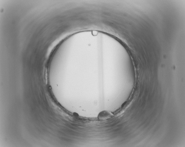 X0000069831510200606161927