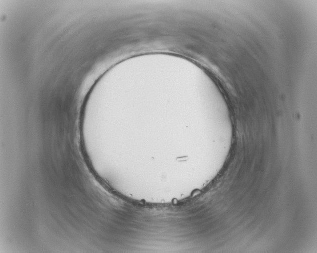 X0000069831512200606161927