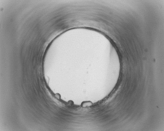 X0000069831513200606161927