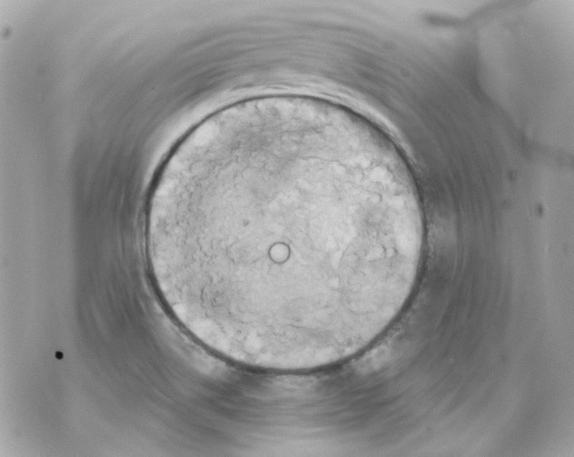 X0000069831514200606161927