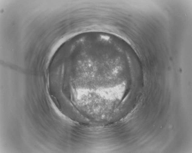 X0000069831515200606161927