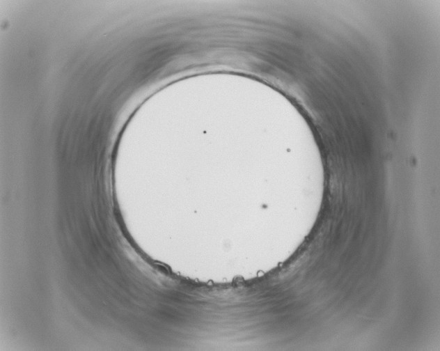 X0000069831516200606161927