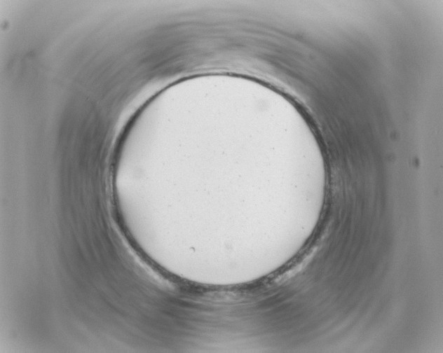 X0000069831517200606161927