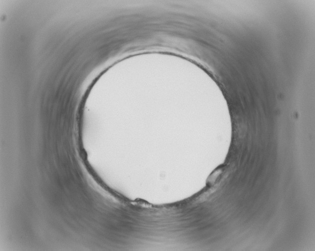 X0000069831518200606161927