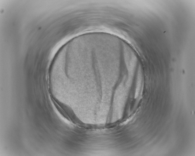 X0000069831519200606161927