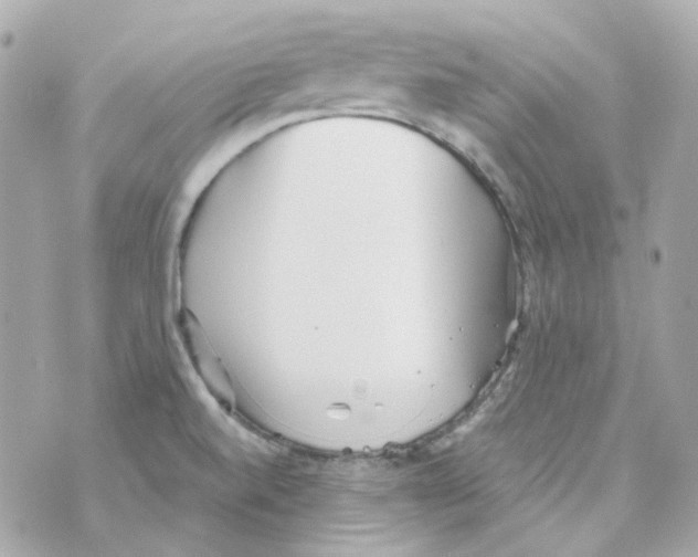 X0000069831520200606161927