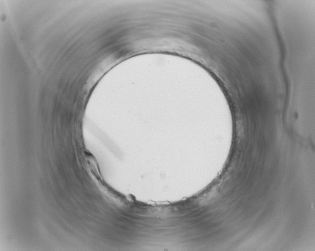 X0000069831521200606161927