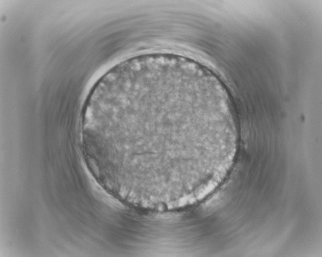 X0000069831522200606161927