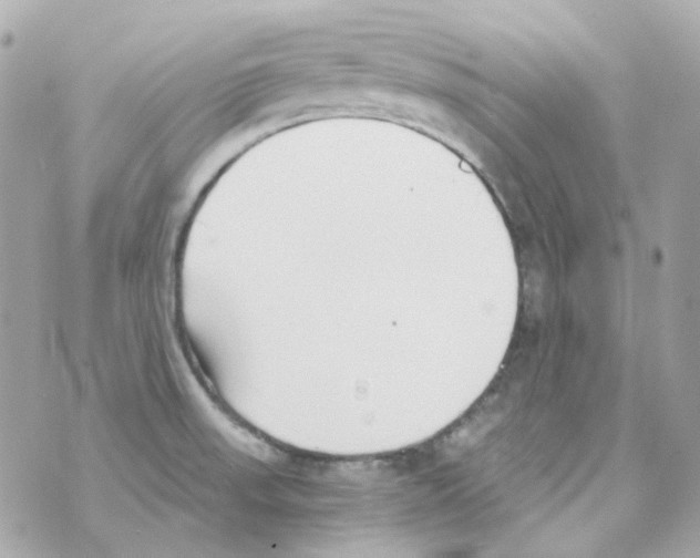 X0000069831523200606161927