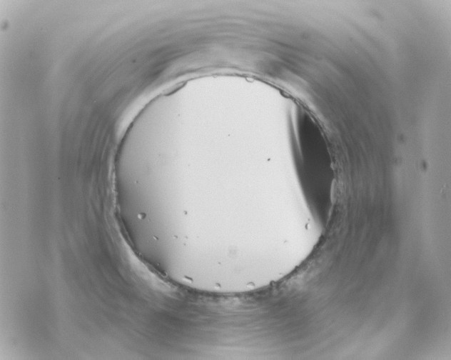 X0000069831524200606161927