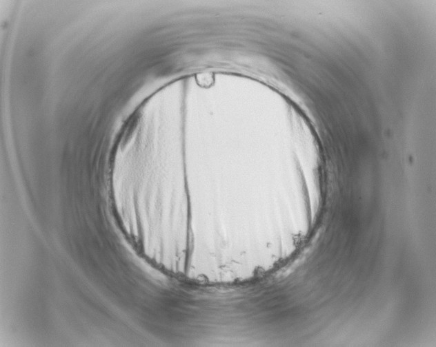 X0000069831525200606161927