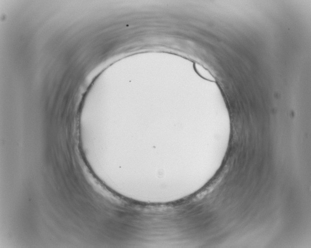 X0000069831526200606161927