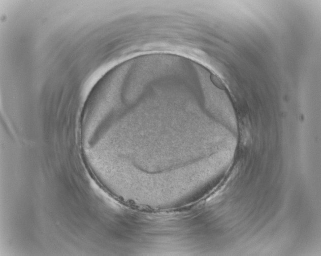 X0000069831527200606161927