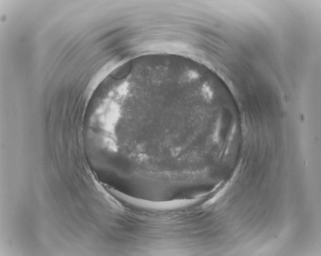 X0000069831529200606161927