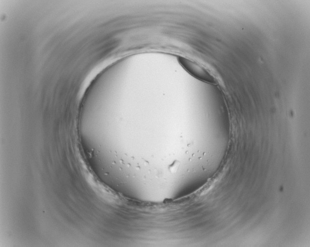 X0000069831530200606161927