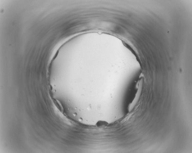 X0000069831532200606161927