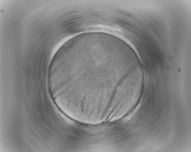 X0000069831533200606161927