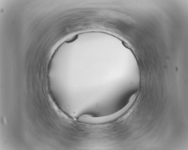 X0000069831534200606161927