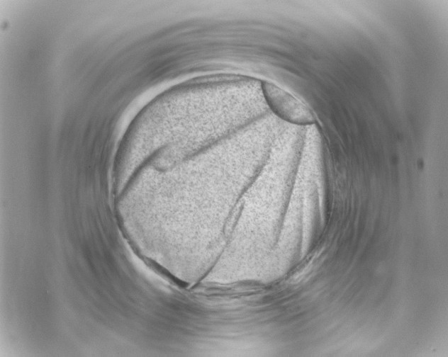 X0000069831535200606161927