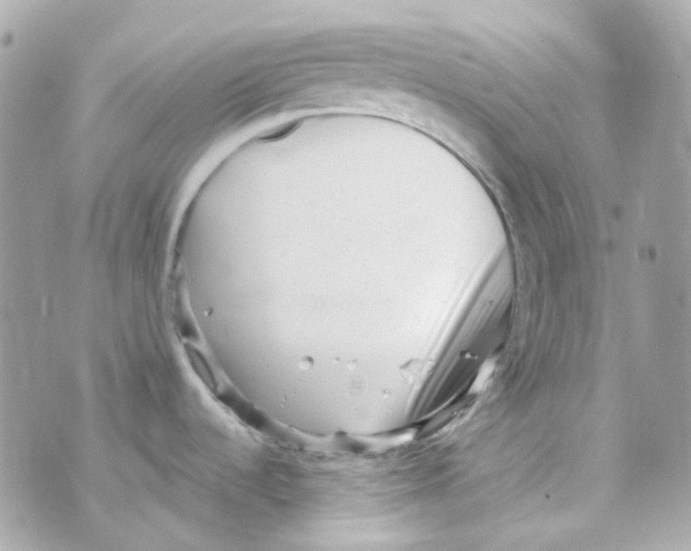 X0000069831536200606161927