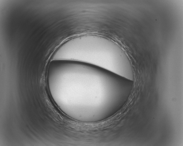 X0000069840002200605191020