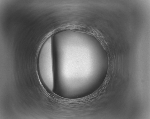 X0000069840003200605191020