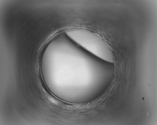X0000069840005200605191020