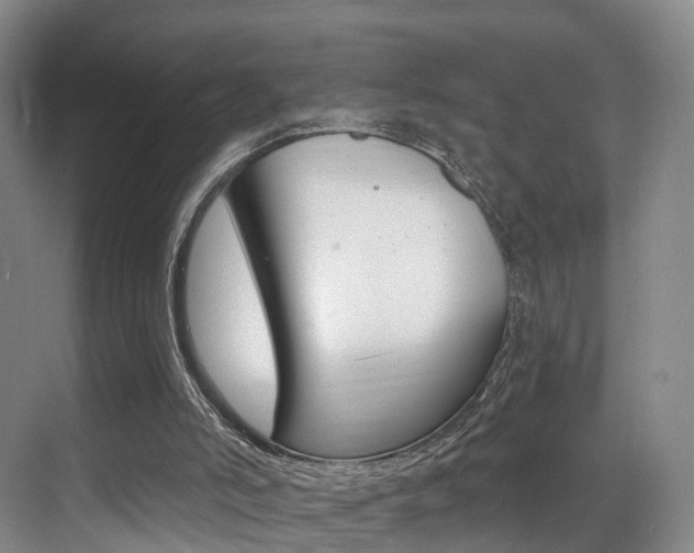 X0000069840006200605191020