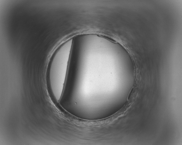 X0000069840007200605191020