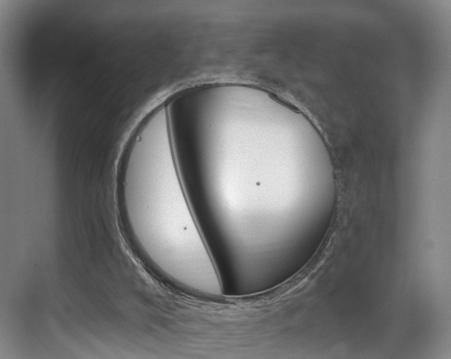 X0000069840008200605191020