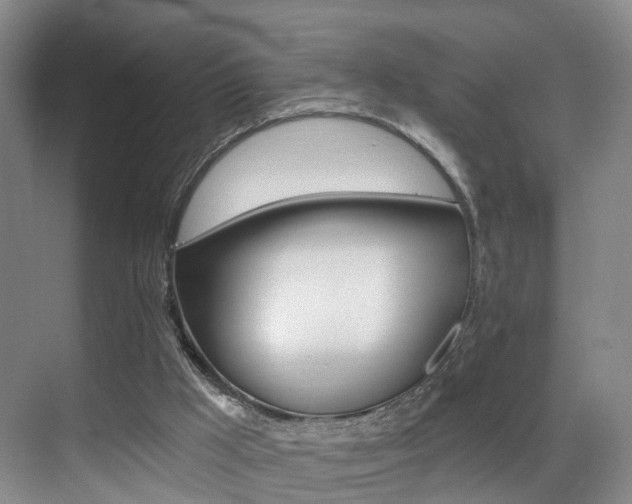 X0000069840009200605191020