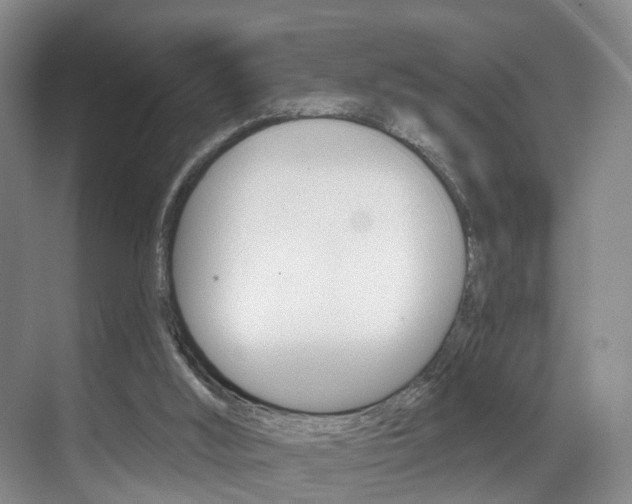 X0000069840012200605191019