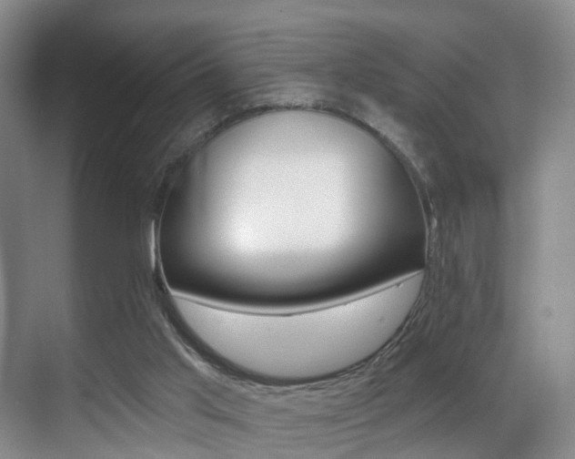 X0000069840013200605191019
