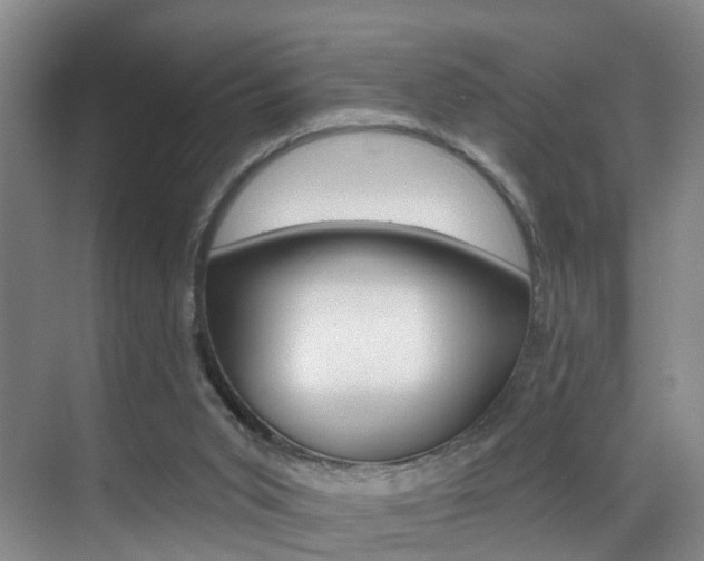 X0000069840015200605191019